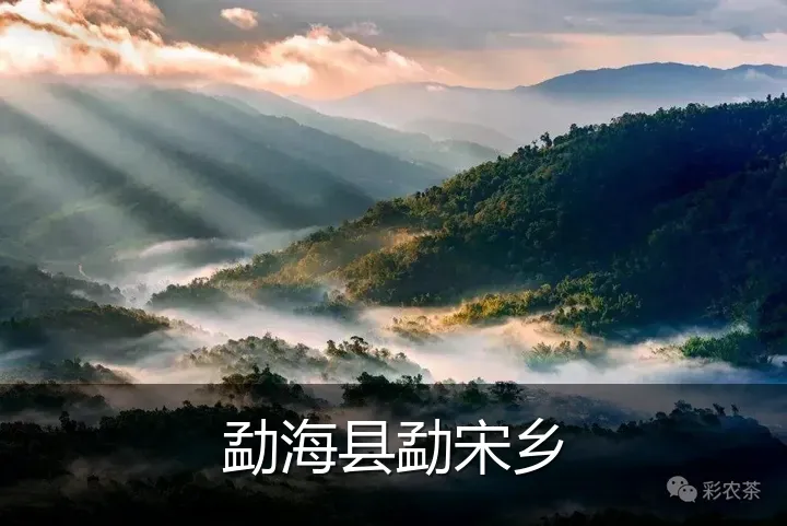 勐海县勐宋乡
