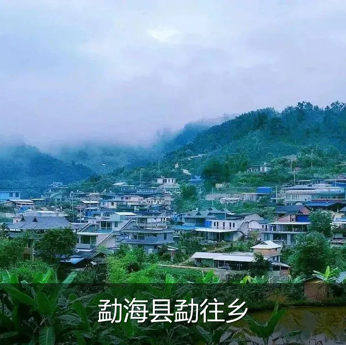 勐海县勐往乡