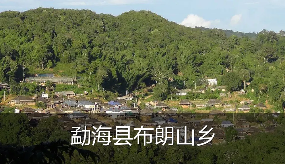 勐海县布朗山乡