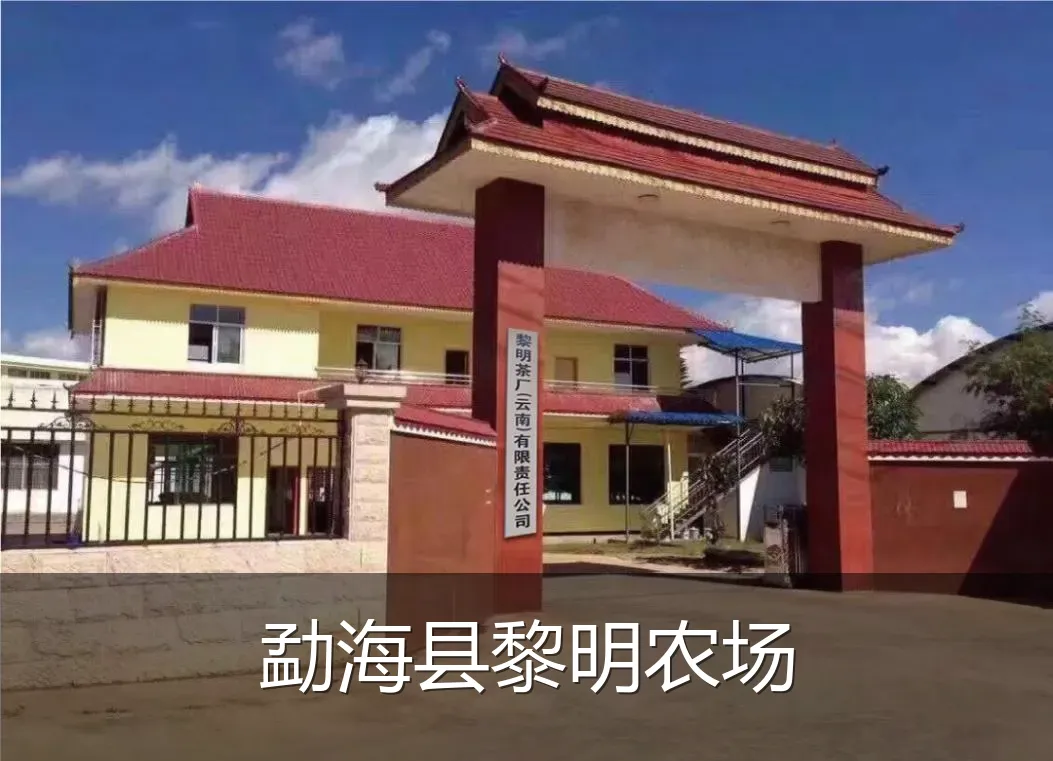 勐海县黎明农场